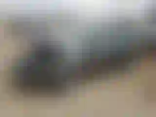 Vehicle Image- 2016 Ford Fiesta