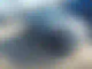 Vehicle Image- 2019 Ford Fiesta