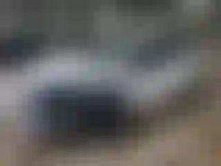 Vehicle Image- 2015 Ford Fiesta