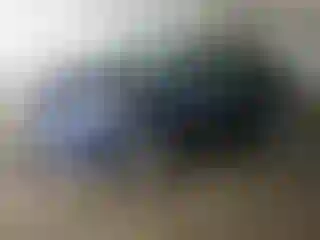 Vehicle Image- 2016 Ford Fiesta