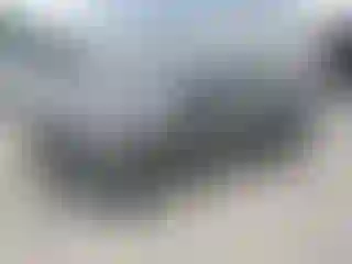 Vehicle Image- 2019 Ford Fiesta