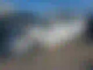 Vehicle Image- 2019 Ford Fiesta