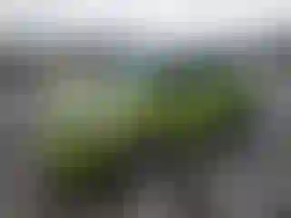 Vehicle Image- 2011 Ford Fiesta