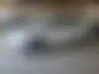 Vehicle Image- 2016 Ford Fiesta