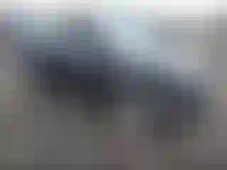 Vehicle Image- 2017 Ford Fiesta
