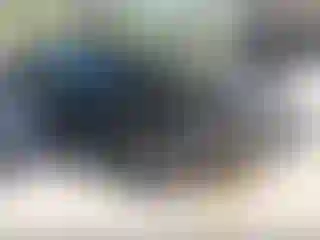 Vehicle Image- 2016 Ford Fiesta