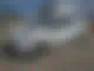 Vehicle Image- 2014 Ford Fiesta