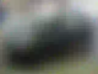 Vehicle Image- 2015 Ford Fiesta