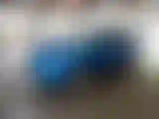 Vehicle Image- 2015 Ford Fiesta