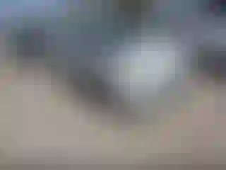 Vehicle Image- 2019 Ford Fiesta
