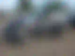 Vehicle Image- 2019 Ford Fiesta