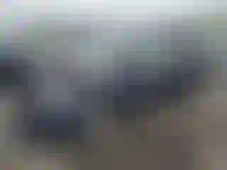 Vehicle Image- 2013 Ford Fiesta