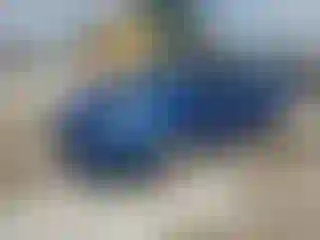 Vehicle Image- 2019 Ford Fiesta