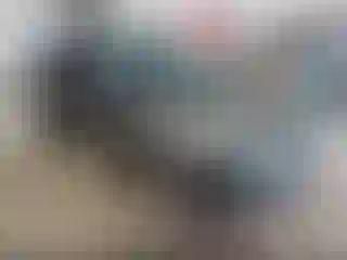 Vehicle Image- 2014 Ford Fiesta