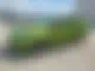 Vehicle Image- 2018 Ford Fiesta