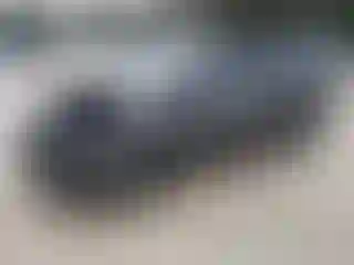 Vehicle Image- 2017 Ford Fiesta