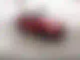 Vehicle Image- 2013 Ford Fiesta