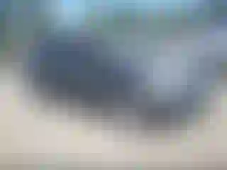 Vehicle Image- 2015 Ford Fiesta