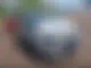 Vehicle Image- 2014 Ford Fiesta