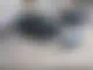 Vehicle Image- 2015 Ford Fiesta