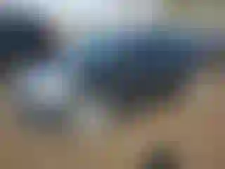 Vehicle Image- 2011 Ford Fiesta