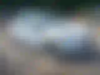 Vehicle Image- 2016 Ford Fiesta