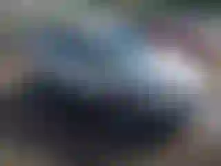 Vehicle Image- 2017 Ford Fiesta