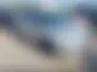 Vehicle Image- 2014 Ford Fiesta