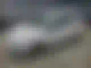 Vehicle Image- 2015 Ford Fiesta