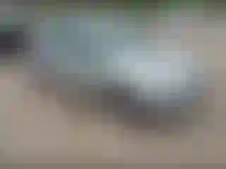 Vehicle Image- 2019 Ford Fiesta