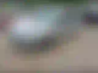 IMPORTOWO.pl