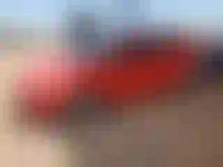 Vehicle Image- 2014 Ford Fiesta