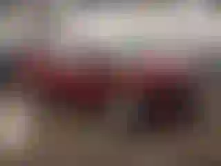 Vehicle Image- 2014 Ford Fiesta