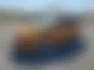 Vehicle Image- 2016 Ford Fiesta