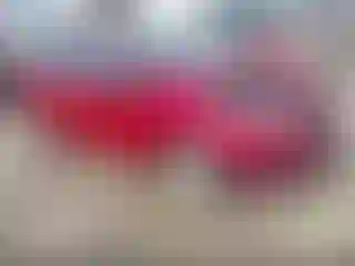 Vehicle Image- 2017 Ford Fiesta