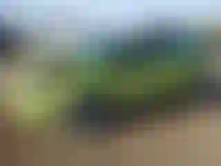Vehicle Image- 2011 Ford Fiesta