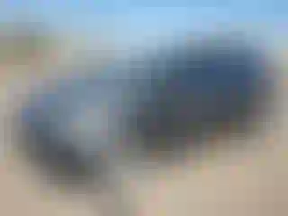 Vehicle Image- 2016 Ford Fiesta
