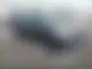 Vehicle Image- 2017 Ford Fiesta