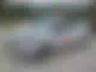 Vehicle Image- 2018 Ford Fiesta