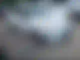 Vehicle Image- 2013 Ford Fiesta