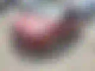 Vehicle Image- 2014 Ford Fiesta