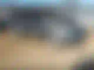 Vehicle Image- 2019 Ford Fiesta