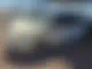Vehicle Image- 2014 Ford Fiesta