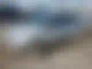 Vehicle Image- 2015 Ford Fiesta