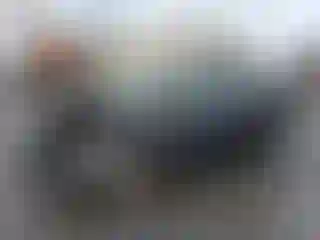 Vehicle Image- 2015 Ford Fiesta