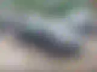 Vehicle Image- 2016 Ford Fiesta