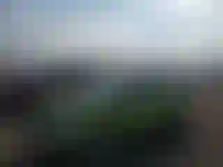 Vehicle Image- 2018 Ford Fiesta
