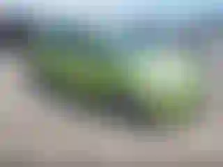 Vehicle Image- 2011 Ford Fiesta