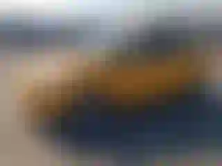 Vehicle Image- 2011 Ford Fiesta
