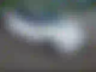 Vehicle Image- 2012 Ford Fiesta